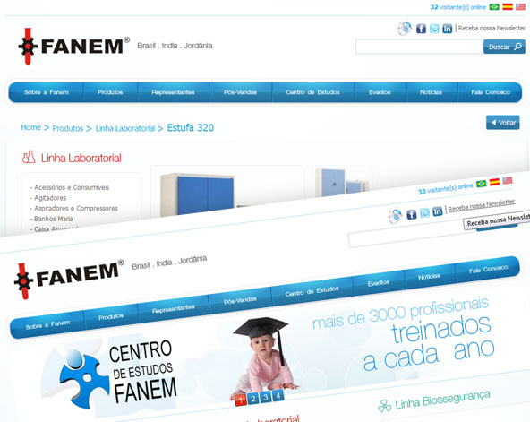 Site Institucional Fanem